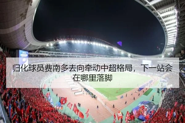 归化球员费南多去向牵动中超格局，下一站会在哪里落脚